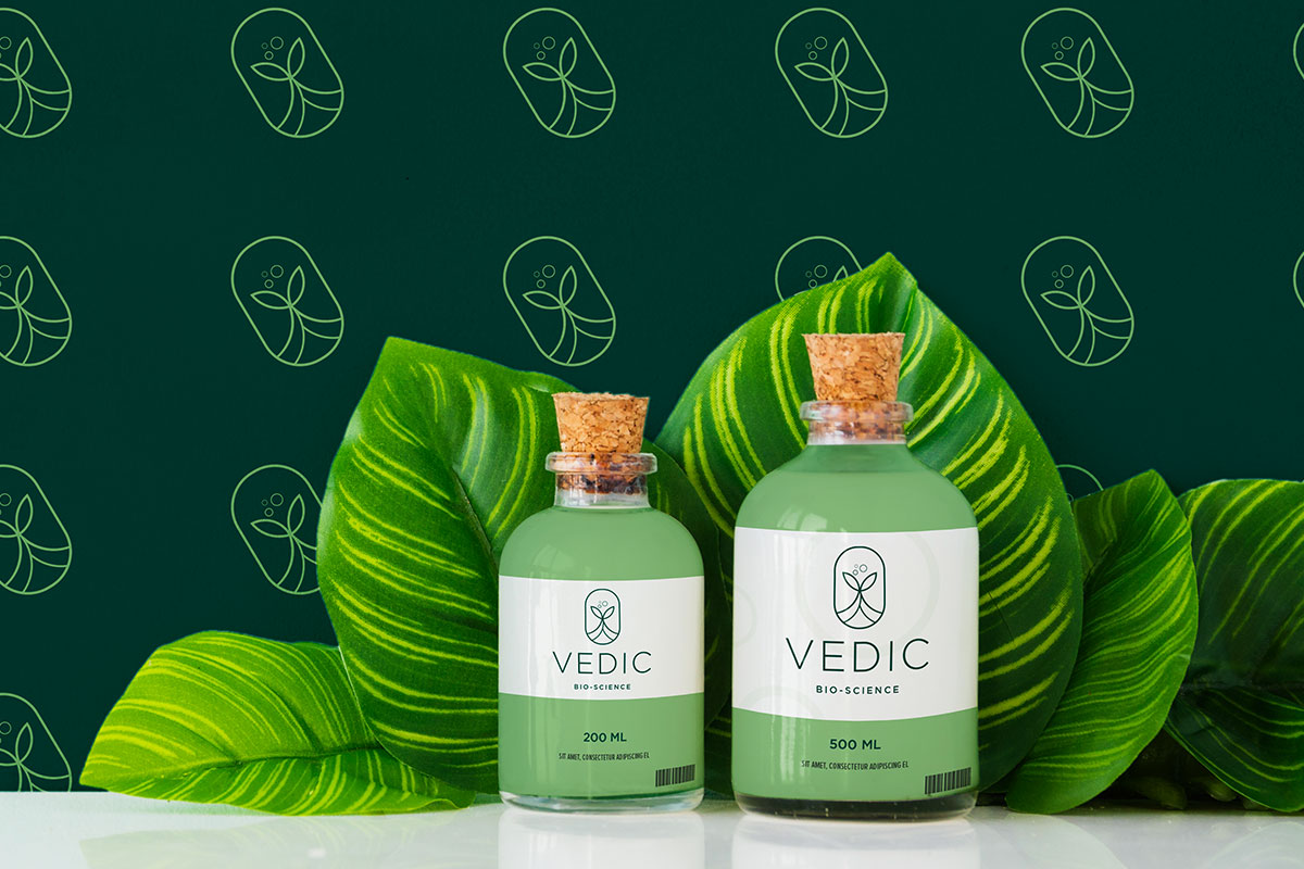 vedic5